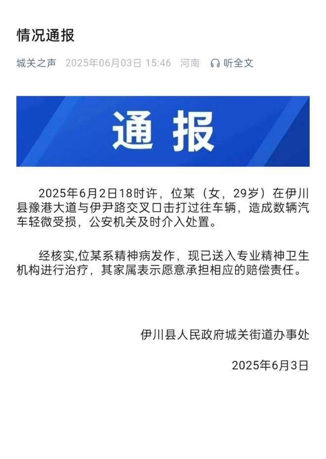 车通报：系精神病发作家属愿意承担赔偿冰球突破豪华版女子持械当街打砸多辆轿(图2)