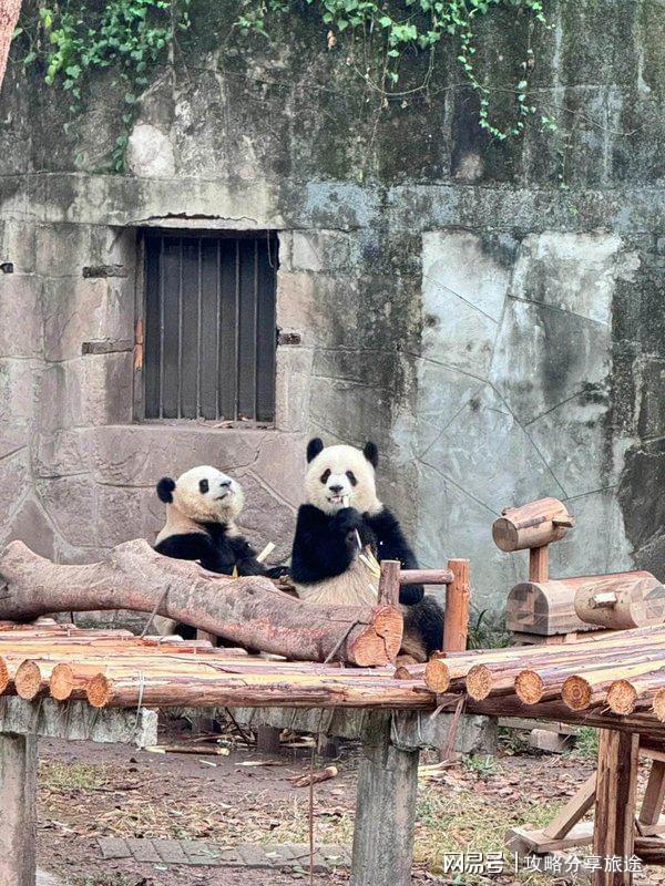 最合适 重庆5日游【附详细路线攻略】冰球突破游戏什么季节去重庆最佳旅游(图4)