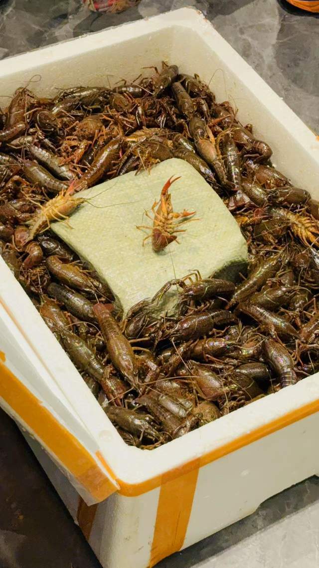 场：小龙虾+牛杂煲引爆郑州美食圈冰球突破平台纪闲斋夏日新品惊艳登(图4)