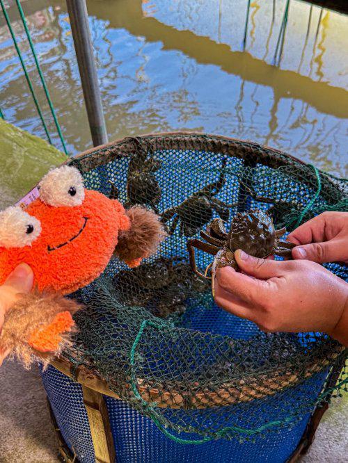 好?我找到了藏在湖边的宝藏蟹庄农家乐冰球突破游戏网站阳澄湖边吃大闸蟹哪家(图3) 好?我找到了藏在湖边的宝藏蟹庄农家乐冰球突破游戏网站阳澄湖边吃大闸蟹哪家(图3)